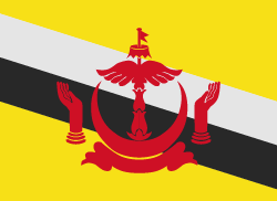 Brunei 깃발