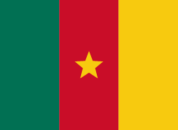 Cameroon झंडा