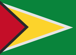 Guiana الراية