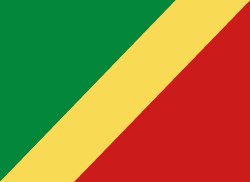 Republic of Congo bandera