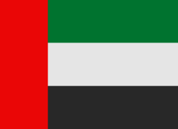 United Arab Emirates bayrak