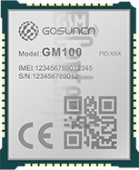 Controllo IMEI GOSUNCN GM100 su imei.info