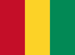 Guinea Flagge