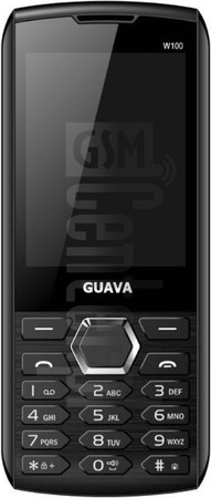 在imei.info上的IMEI Check GUAVA W100