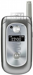 在imei.info上的IMEI Check MOTOROLA V323i