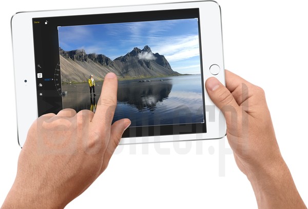APPLE iPad mini 4 Wi-Fi Specification - IMEI.info