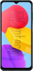 IMEI चेक SAMSUNG Galaxy F14 5G imei.info पर