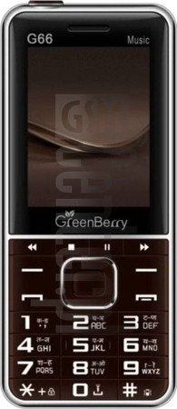 在imei.info上的IMEI Check GREEN BERRY G66 Music