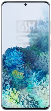 IMEI-Prüfung SAMSUNG Galaxy S20+ 5G Exynos auf imei.info