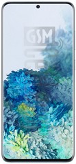 Vérification de l'IMEI SAMSUNG Galaxy S20+ 5G Exynos sur imei.info