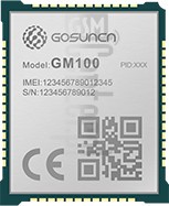 Controllo IMEI GOSUNCN GM100 su imei.info