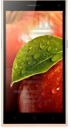 Pemeriksaan IMEI IBERRY Auxus Note 5.5 Gold Edition di imei.info
