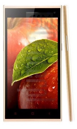 IMEI-Prüfung IBERRY Auxus Note 5.5 Gold Edition auf imei.info
