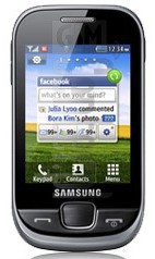 Verificação do IMEI SAMSUNG S3770 em imei.info