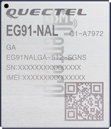 تحقق من رقم IMEI QUECTEL EG91-NAL على imei.info