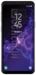 Verificação do IMEI SAMSUNG Galaxy S9+ Exynos em imei.info