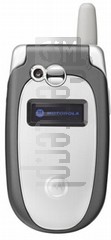 imei.infoのIMEIチェックMOTOROLA V547