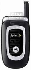 imei.infoのIMEIチェックMOTOROLA C290