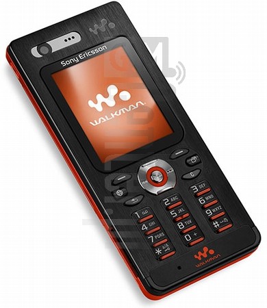 Sony Ericsson W888 - description and parameters