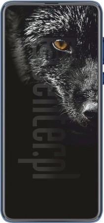IMEI-Prüfung BLACK FOX B10 Fox auf imei.info