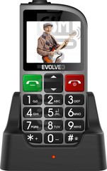 Verificación del IMEI  EVOLVEO EasyPhone FM en imei.info