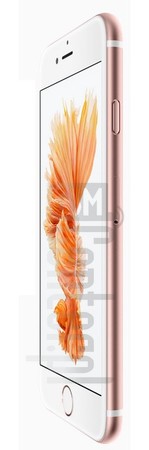 Проверка IMEI APPLE iPhone 6S на imei.info
